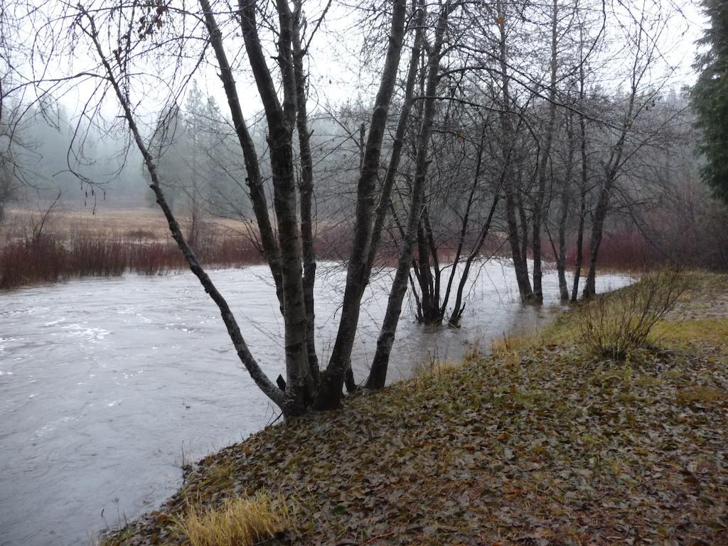 Big Creek Bed and breakfast Fish Camp
