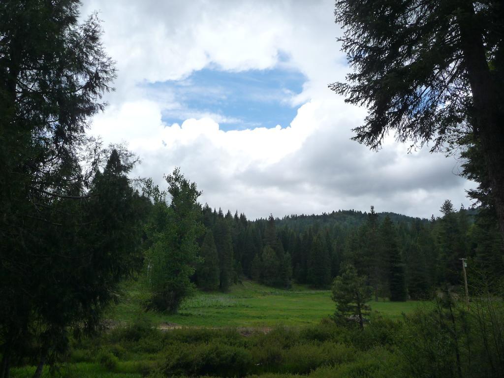 Big Creek 4*