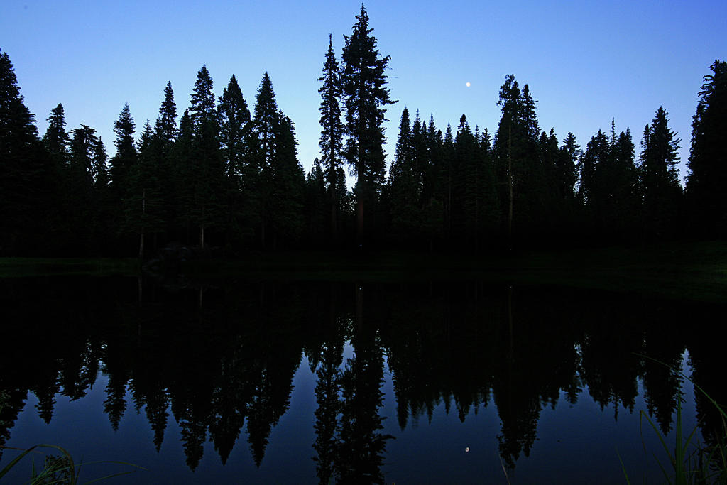 Bed and breakfast Big Creek Fish Camp